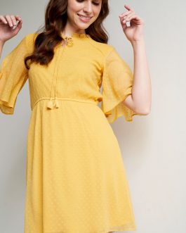 Yellow Solid Flared Dress